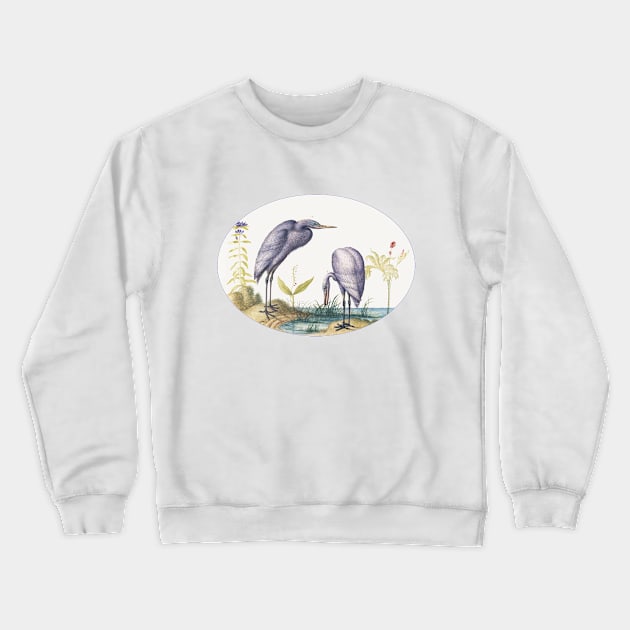 Two Great Egrets with Green Breeding Masks (1575–1580) Crewneck Sweatshirt by WAITE-SMITH VINTAGE ART